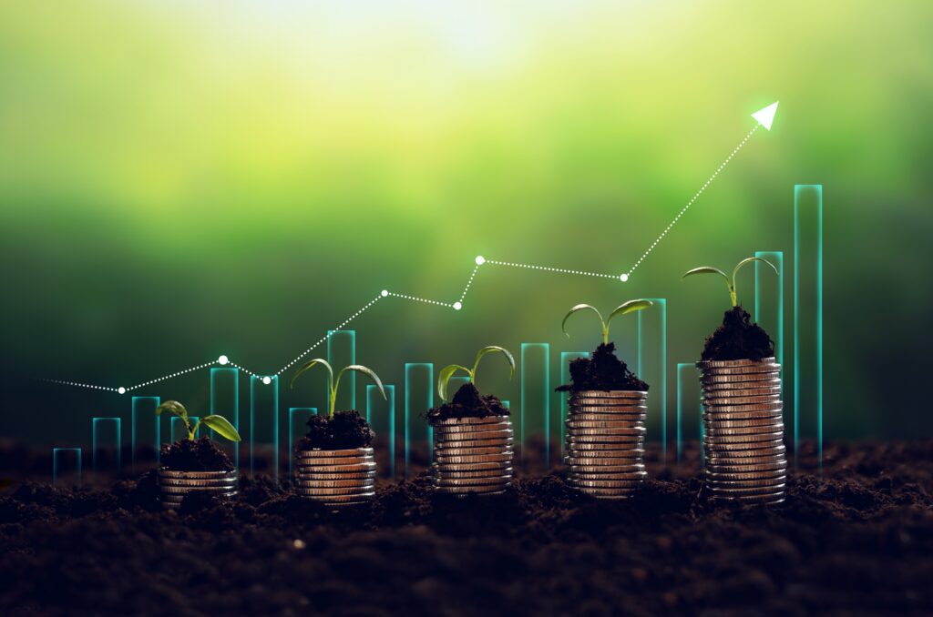 Investment Growth Rate