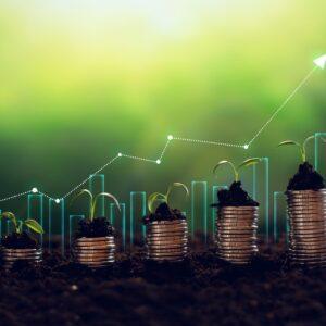 Investment Growth Rate